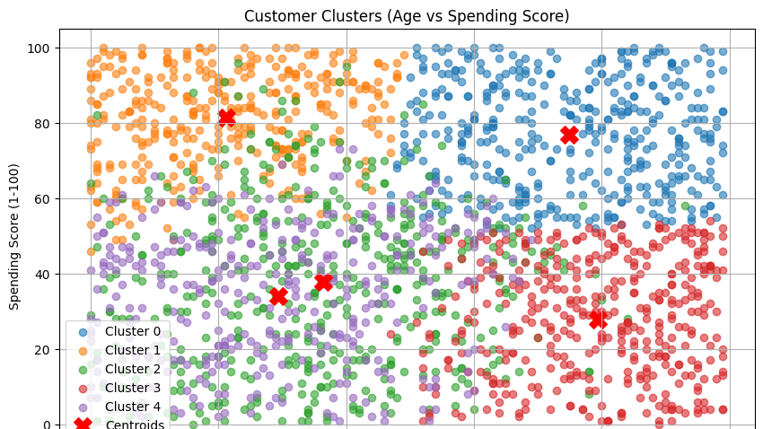 Customer Segmentation